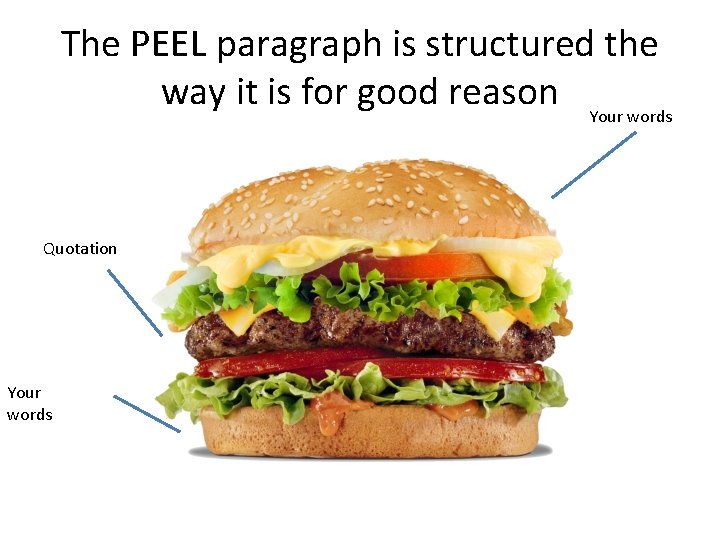 The PEEL paragraph is structured the way it is for good reason Your words