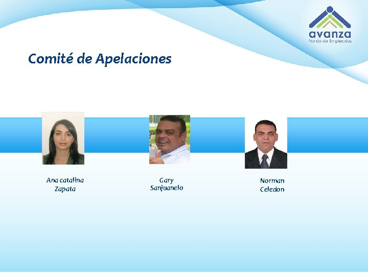 Comité de Apelaciones Ana catalina Zapata Gary Sanjuanelo Norman Celedon 
