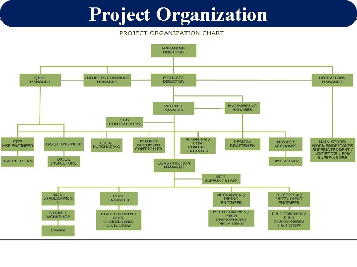Project Organization 