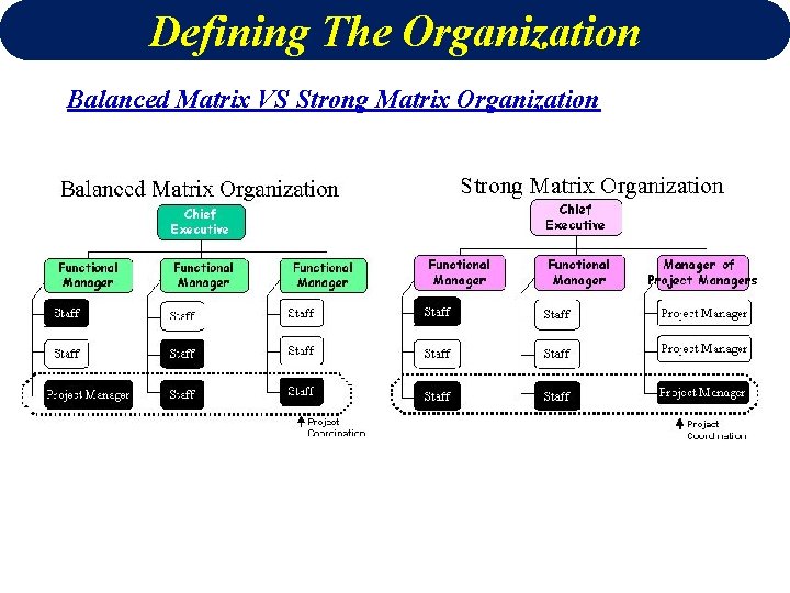 Defining The Organization Balanced Matrix VS Strong Matrix Organization 