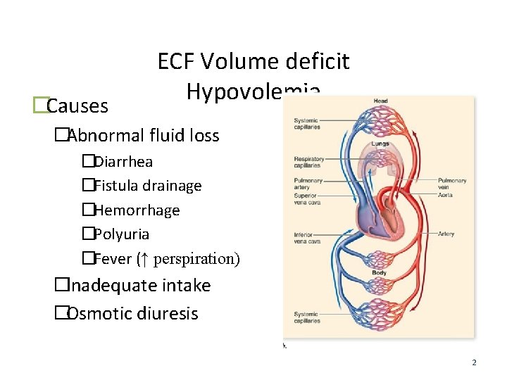 �Causes ECF Volume deficit Hypovolemia �Abnormal fluid loss �Diarrhea �Fistula drainage �Hemorrhage �Polyuria �Fever
