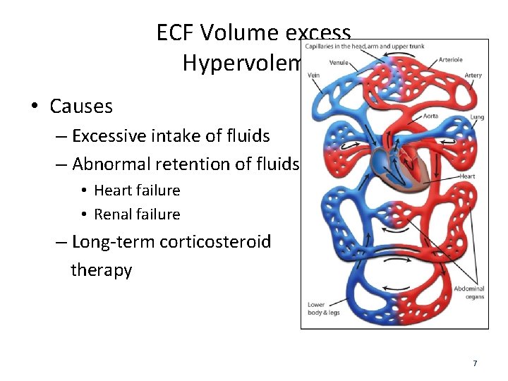 ECF Volume excess Hypervolemia • Causes – Excessive intake of fluids – Abnormal retention