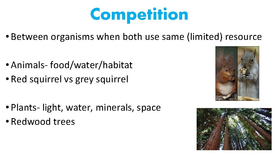 Competition • Between organisms when both use same (limited) resource • Animals- food/water/habitat •