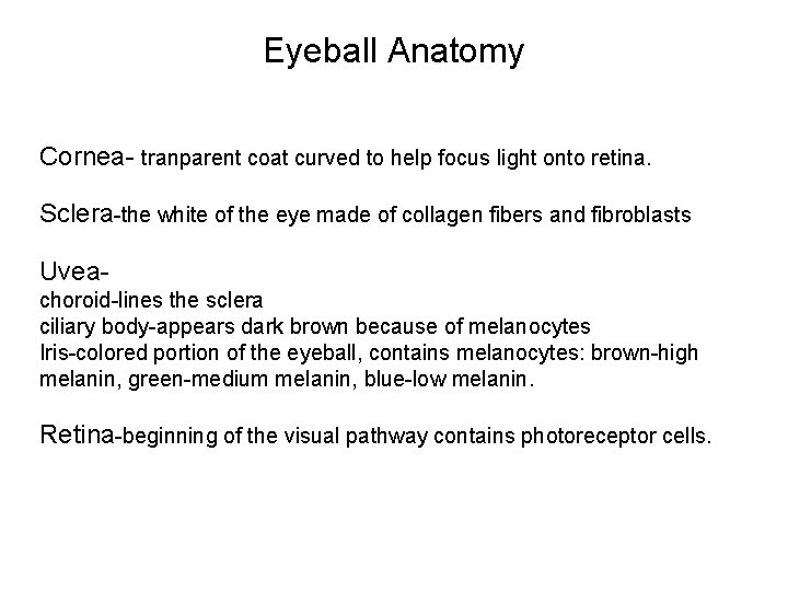 Eyeball Anatomy Cornea- tranparent coat curved to help focus light onto retina. Sclera-the white