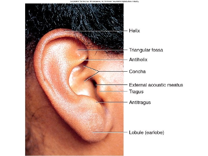 Figure 16. 10 Figure 16. 10