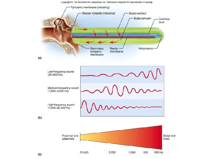 Figure 16. 17 Figure 16. 17