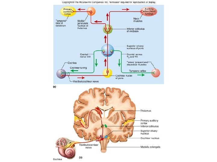 Figure 16. 18 Figure 16. 18