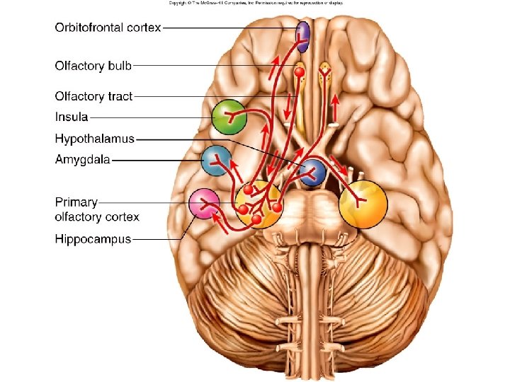 Figure 16. 8 Figure 16. 8