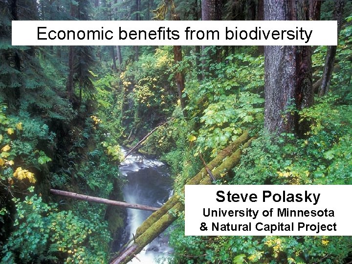 Economic benefits from biodiversity Steve Polasky University of Minnesota & Natural Capital Project 