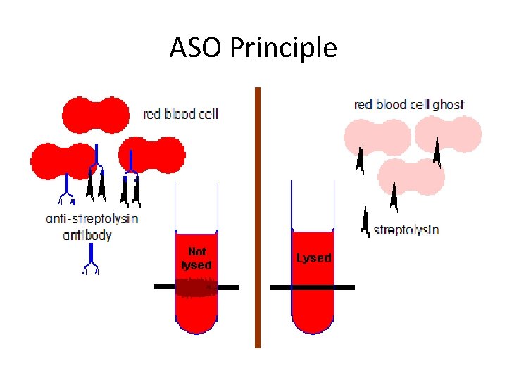 ASO Principle 