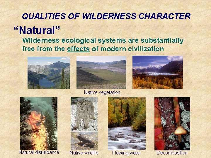 QUALITIES OF WILDERNESS CHARACTER “Natural” Wilderness ecological systems are substantially free from the effects