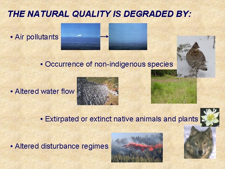 THE NATURAL QUALITY IS DEGRADED BY: • Air pollutants • Occurrence of non-indigenous species