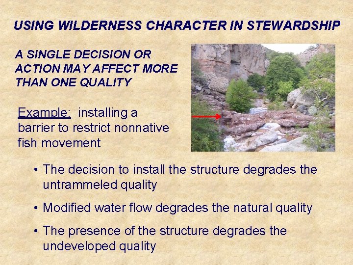 USING WILDERNESS CHARACTER IN STEWARDSHIP A SINGLE DECISION OR ACTION MAY AFFECT MORE THAN
