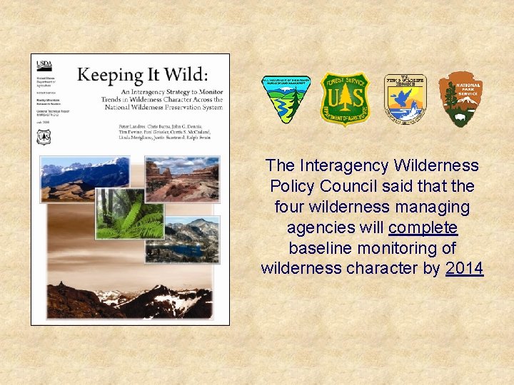 The Interagency Wilderness Policy Council said that the four wilderness managing agencies will complete