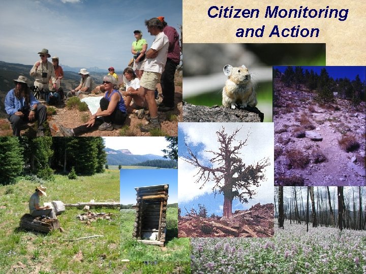 Citizen Monitoring and Action 