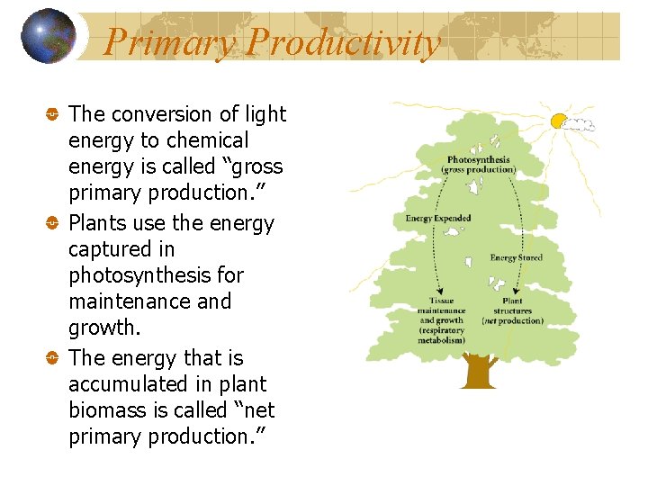 Primary Productivity The conversion of light energy to chemical energy is called “gross primary