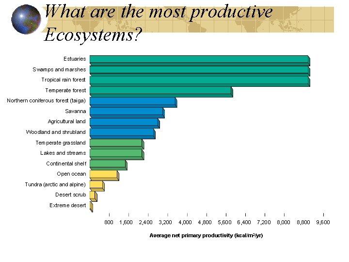 What are the most productive Ecosystems? Estuaries Swamps and marshes Tropical rain forest Temperate