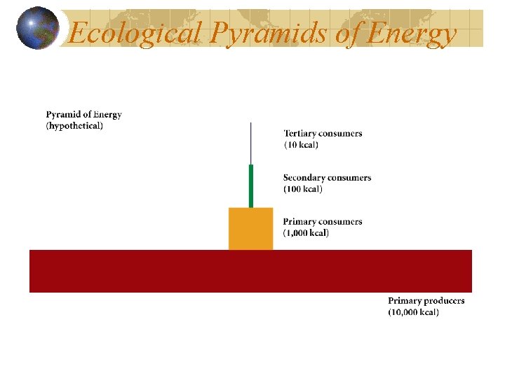 Ecological Pyramids of Energy 