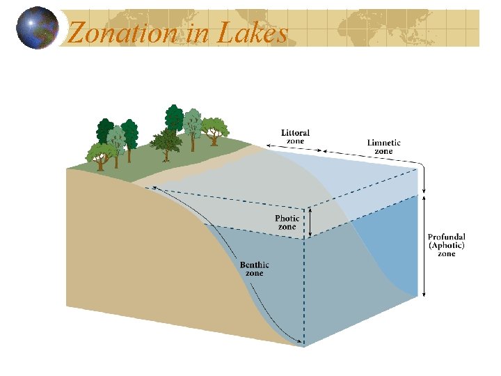Zonation in Lakes 