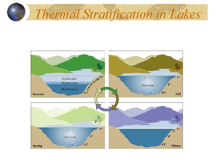 Thermal Stratification in Lakes 