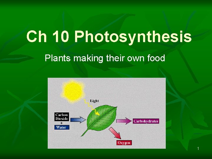 Ch 10 Photosynthesis Plants making their own food 1 