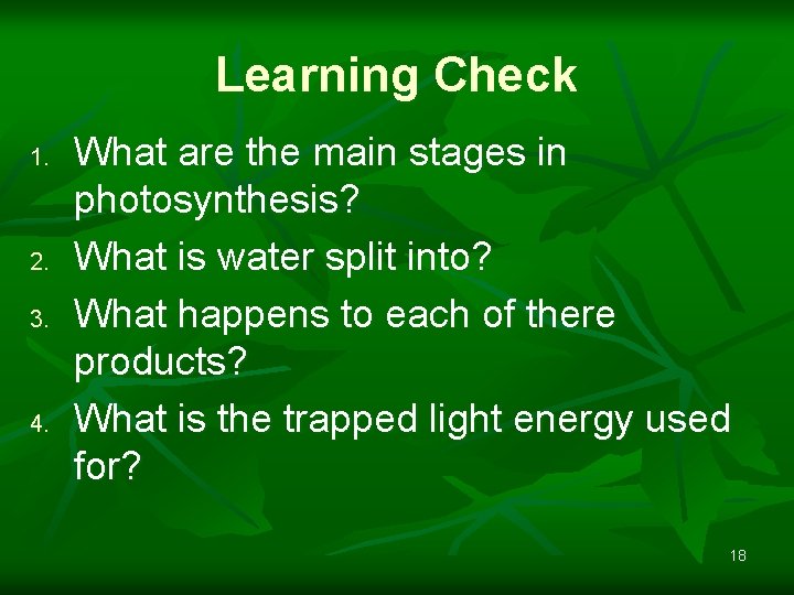 Learning Check 1. 2. 3. 4. What are the main stages in photosynthesis? What