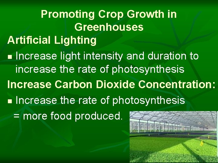 Promoting Crop Growth in Greenhouses Artificial Lighting n Increase light intensity and duration to
