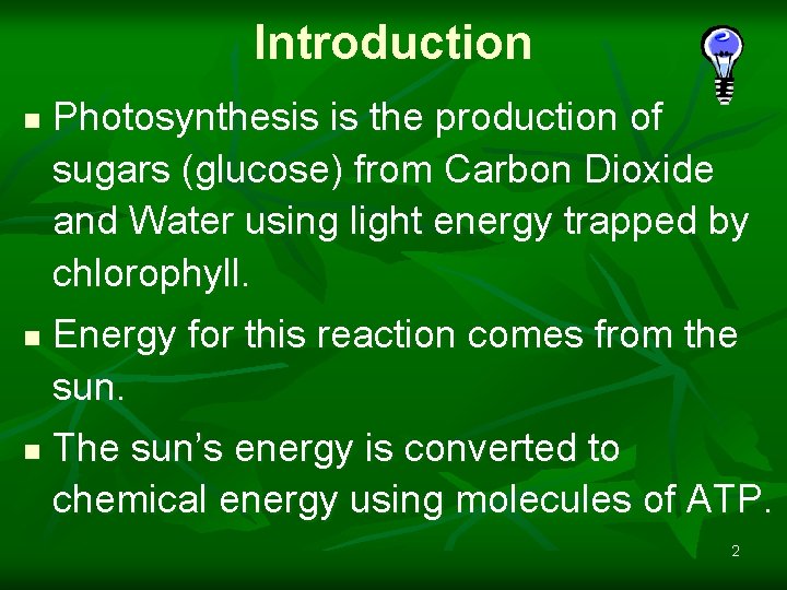 Introduction n Photosynthesis is the production of sugars (glucose) from Carbon Dioxide and Water