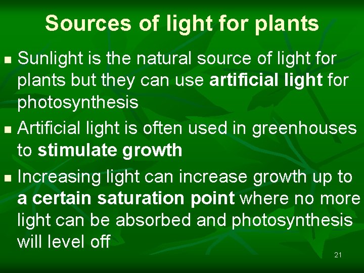 Sources of light for plants Sunlight is the natural source of light for plants