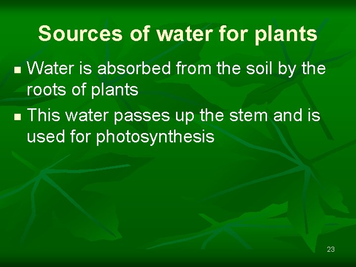 Sources of water for plants Water is absorbed from the soil by the roots