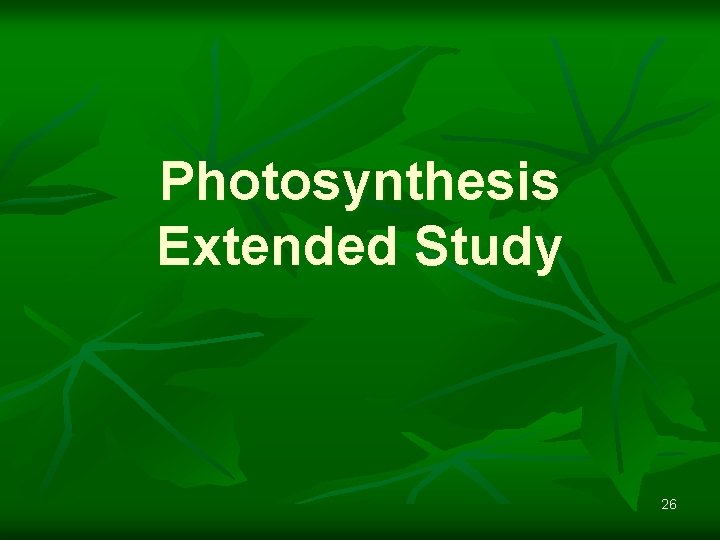 Photosynthesis Extended Study 26 