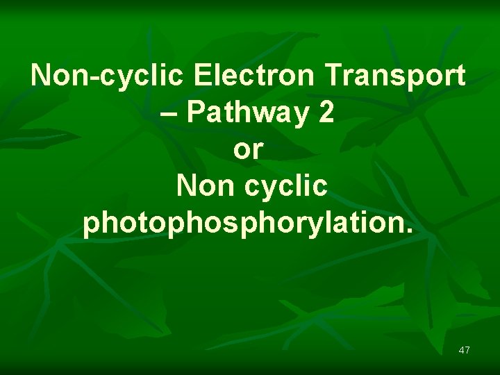 Non-cyclic Electron Transport – Pathway 2 or Non cyclic photophosphorylation. 47 