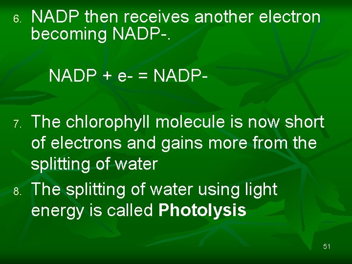 6. NADP then receives another electron becoming NADP-. NADP + e- = NADP- 7.