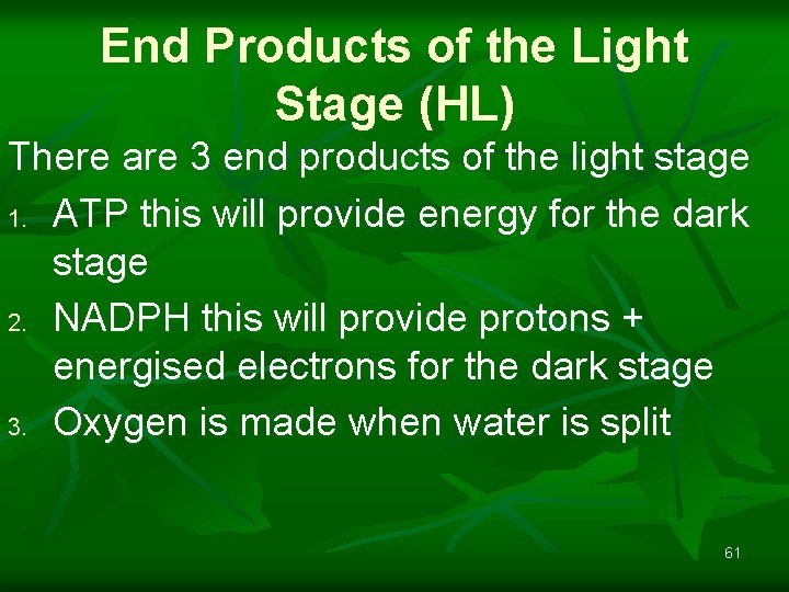 End Products of the Light Stage (HL) There are 3 end products of the