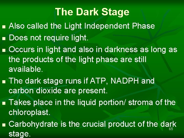 The Dark Stage n n n Also called the Light Independent Phase Does not