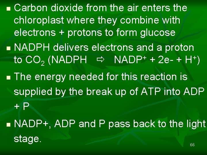 Carbon dioxide from the air enters the chloroplast where they combine with electrons +