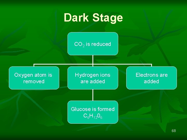 Dark Stage CO 2 is reduced Oxygen atom is removed Hydrogen ions are added
