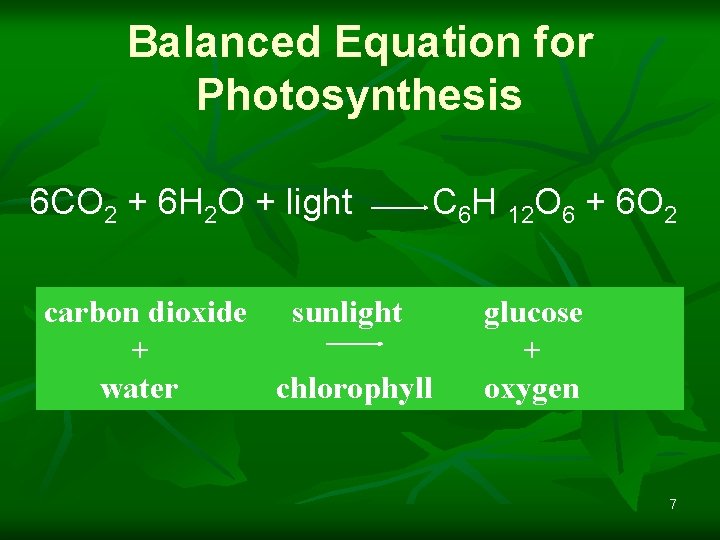 Balanced Equation for Photosynthesis 6 CO 2 + 6 H 2 O + light