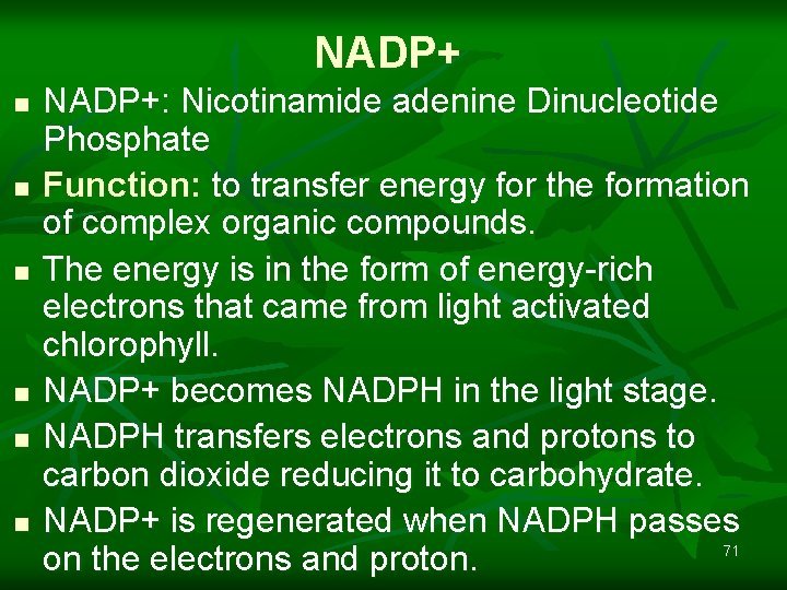 NADP+ n n n NADP+: Nicotinamide adenine Dinucleotide Phosphate Function: to transfer energy for