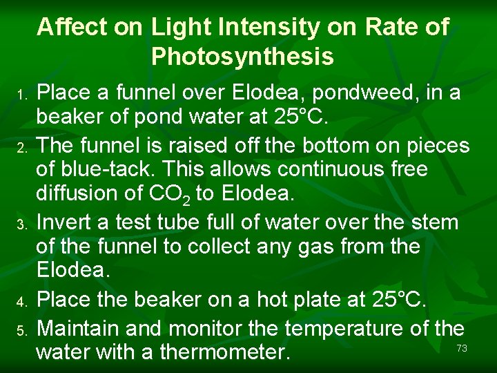 Affect on Light Intensity on Rate of Photosynthesis 1. 2. 3. 4. 5. Place