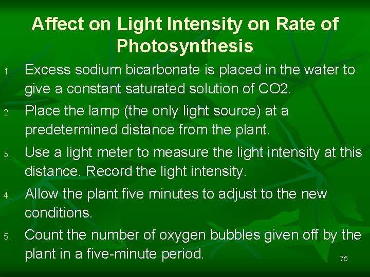 Affect on Light Intensity on Rate of Photosynthesis 1. 2. 3. 4. 5. Excess