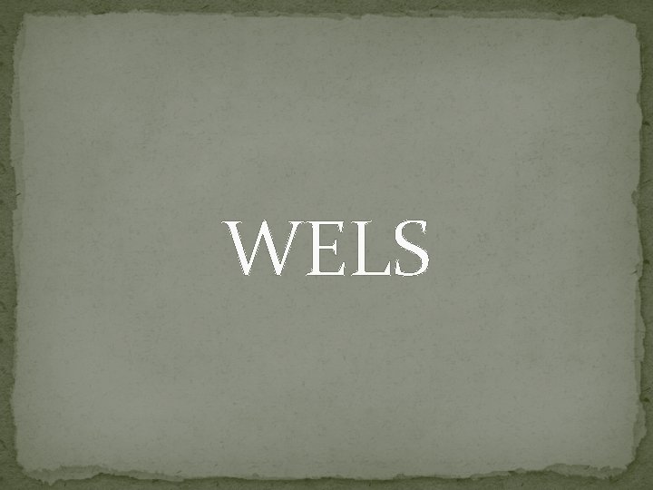 WELS 