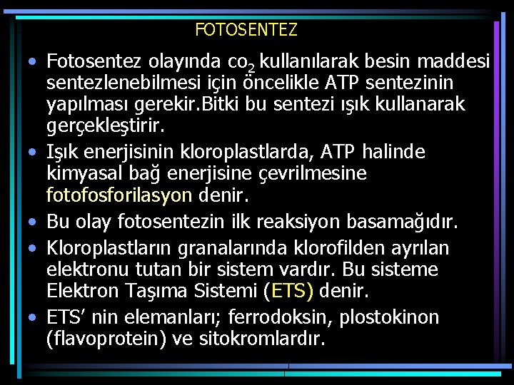 FOTOSENTEZ • Fotosentez olayında co 2 kullanılarak besin maddesi sentezlenebilmesi için öncelikle ATP sentezinin