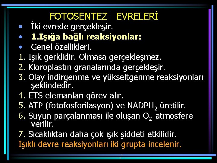  • • • 1. 2. 3. FOTOSENTEZ EVRELERİ İki evrede gerçekleşir. 1. Işığa