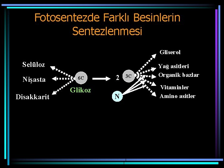 Fotosentezde Farklı Besinlerin Sentezlenmesi Gliserol Selüloz Nişasta Disakkarit 6 C Glikoz 2 N 3