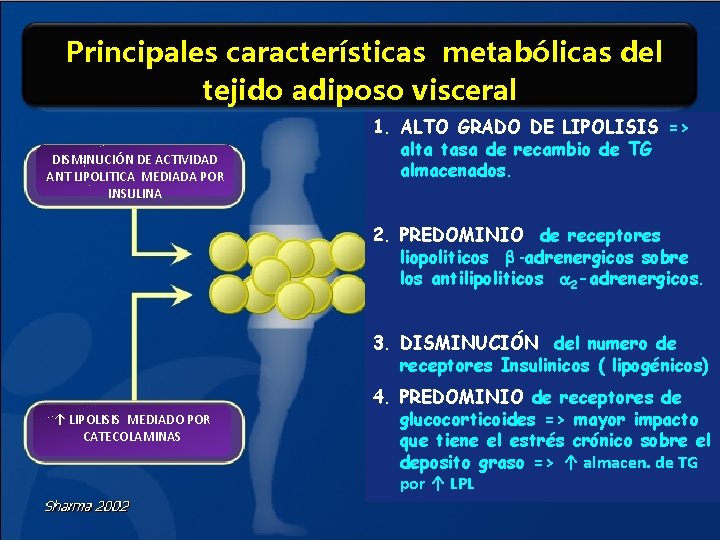 Principales características metabólicas del tejido adiposo visceral DISMINUCIÓN DE ACTIVIDAD ANT LIPOLITICA MEDIADA POR