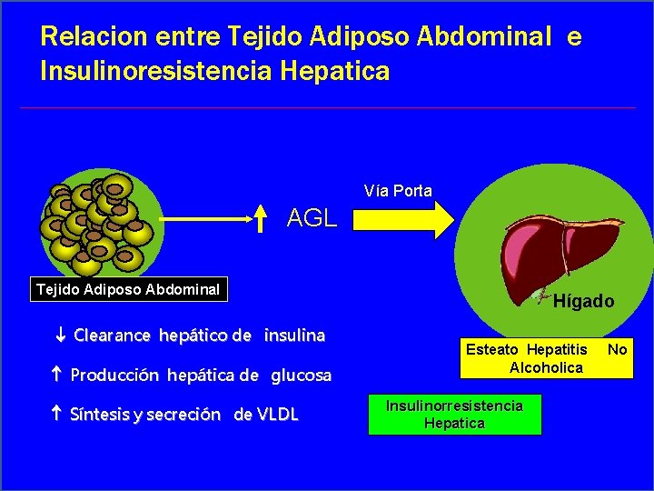 Relacion entre Tejido Adiposo Abdominal e Insulinoresistencia Hepatica Vía Porta AGL Tejido Adiposo Abdominal