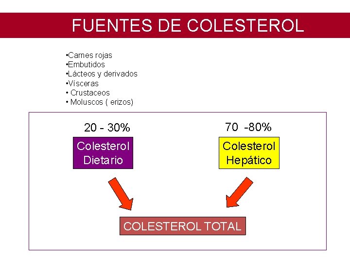 FUENTES DE COLESTEROL • Carnes rojas • Embutidos • Lácteos y derivados • Vísceras