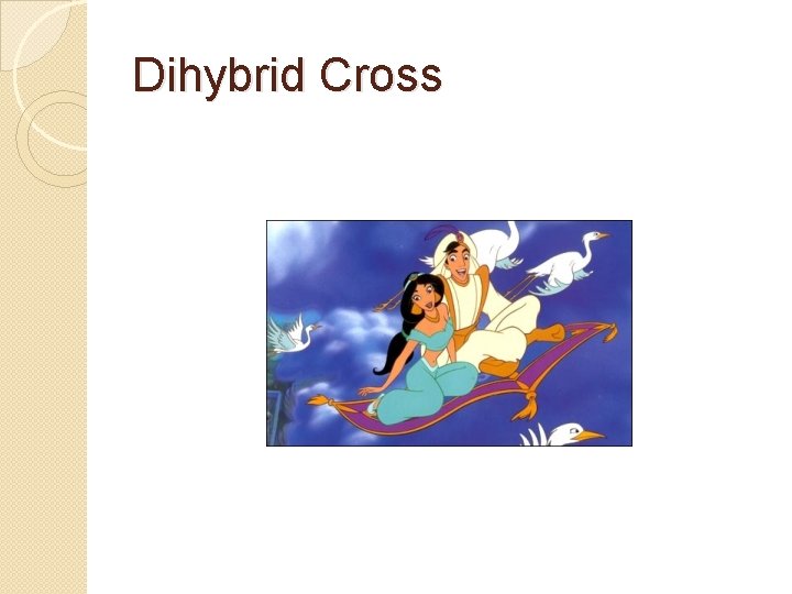 Dihybrid Cross 