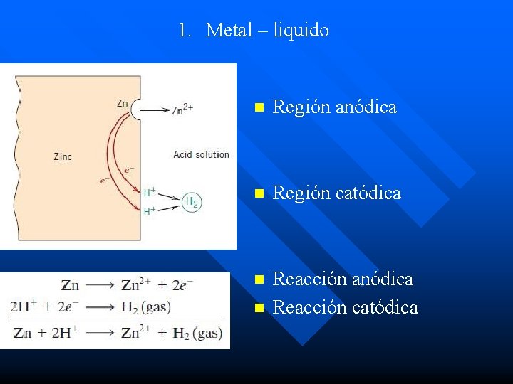 1. Metal – liquido n Región anódica n Región catódica n Reacción anódica Reacción